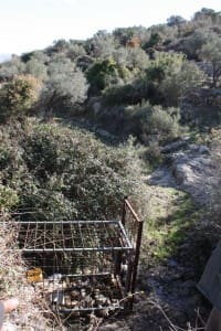 Wild Boars Trap-DM